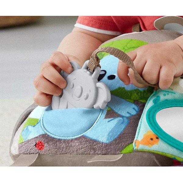 Фото - Книжка-игрушка Fisher-Price Мягкая книжечка Лесные друзья (GJD37)