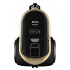 Черный с золотым