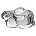 Прозрачный