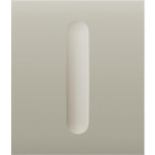 Слоновая кость