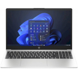 Ноутбук HP 255-G10 (9G8F5ES) Turbo Silver