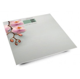 Купить Весы напольные Esperanza Scales EBS010 Купить Весы напольные Esperanza Scales EBS010
