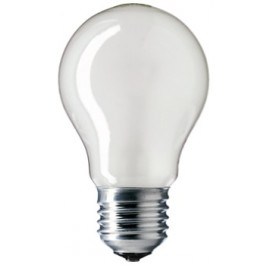 Купить Лампочка Philips E27 75W 230V A55 FR 1CT/12X10F Stan Купить Лампочка Philips E27 75W 230V A55 FR 1CT/12X10F Stan