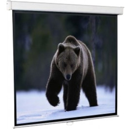 Купить Экран настенный ручной Redleaf 112'' SGM-1104 Купить Экран настенный ручной Redleaf 112'' SGM-1104