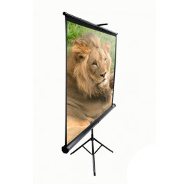 Купить Экран Elite Screens T113UWS1 Купить Экран Elite Screens T113UWS1