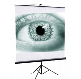Купить Экран Redleaf 100'' SRM-1102 Купить Экран Redleaf 100'' SRM-1102