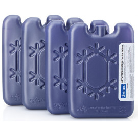 Купить Аккумулятор холода Thermo Cool-ice 4*200 г Купить Аккумулятор холода Thermo Cool-ice 4*200 г