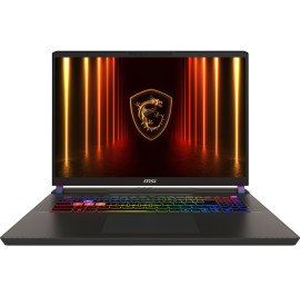 Ноутбук игровой MSI Vector 17 HX AI A2XWJG-042UA (9S7-17S372-042) Black