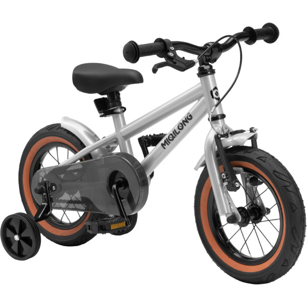 Двоколісний