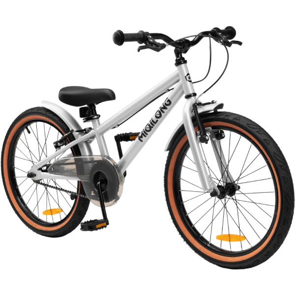 Двоколісний