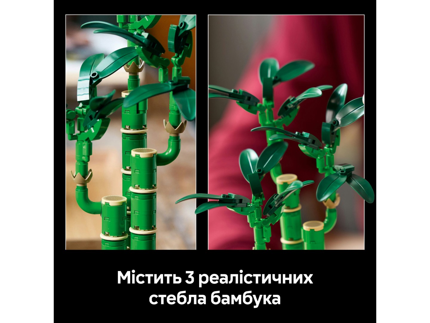 LEGO Botanicals Бамбук щастя (10344) — фото 6