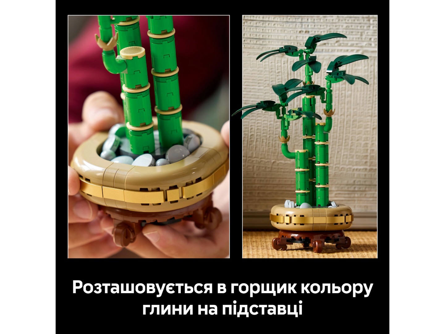 LEGO Botanicals Бамбук щастя (10344) — фото 7