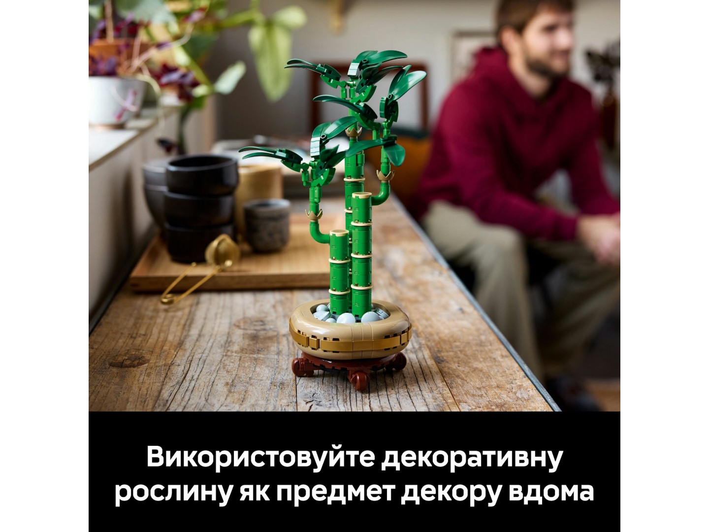 LEGO Botanicals Бамбук щастя (10344) — фото 8