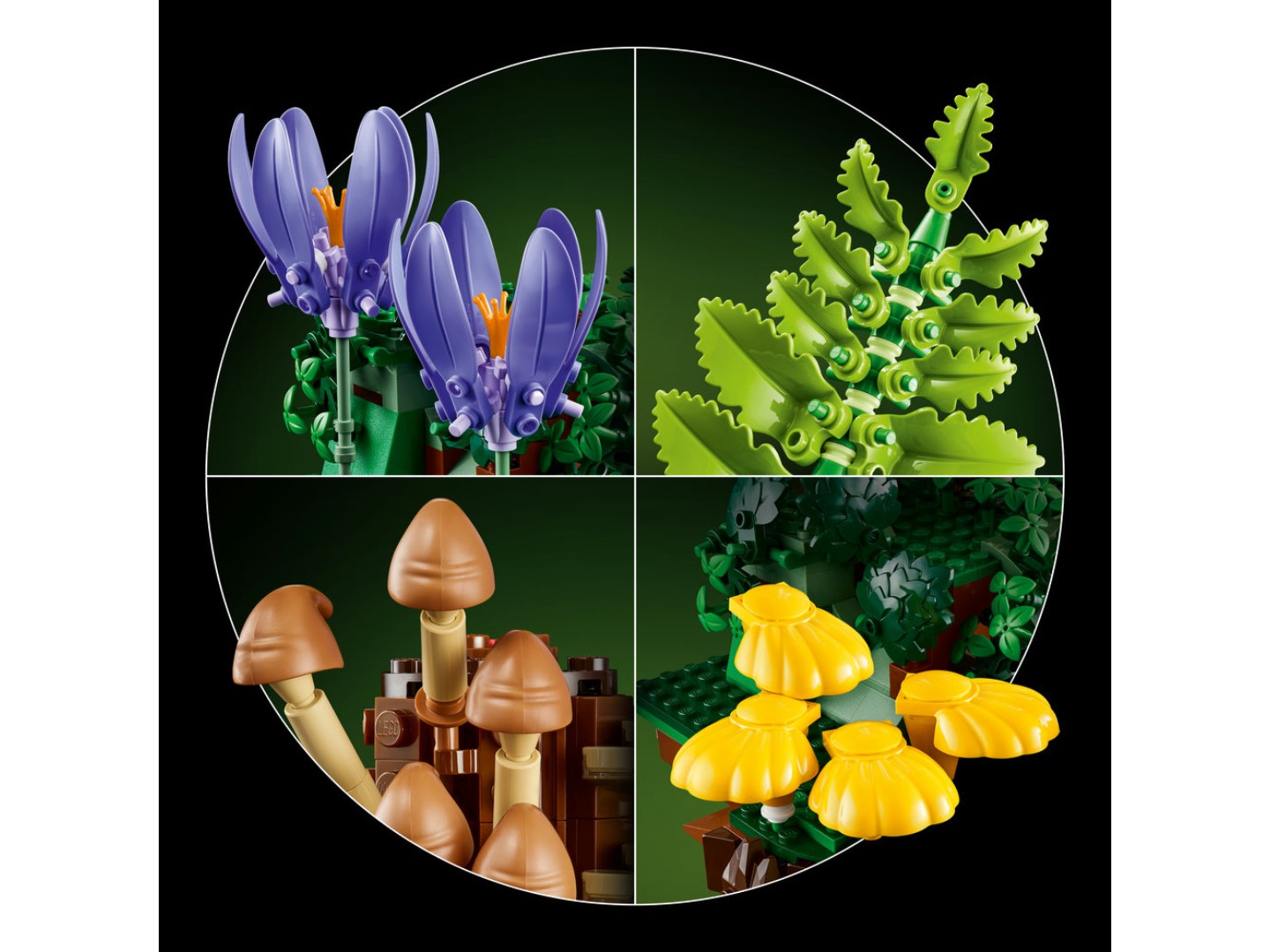 Конструктор LEGO Botanicals Лісові гриби (11505) — фото 6
