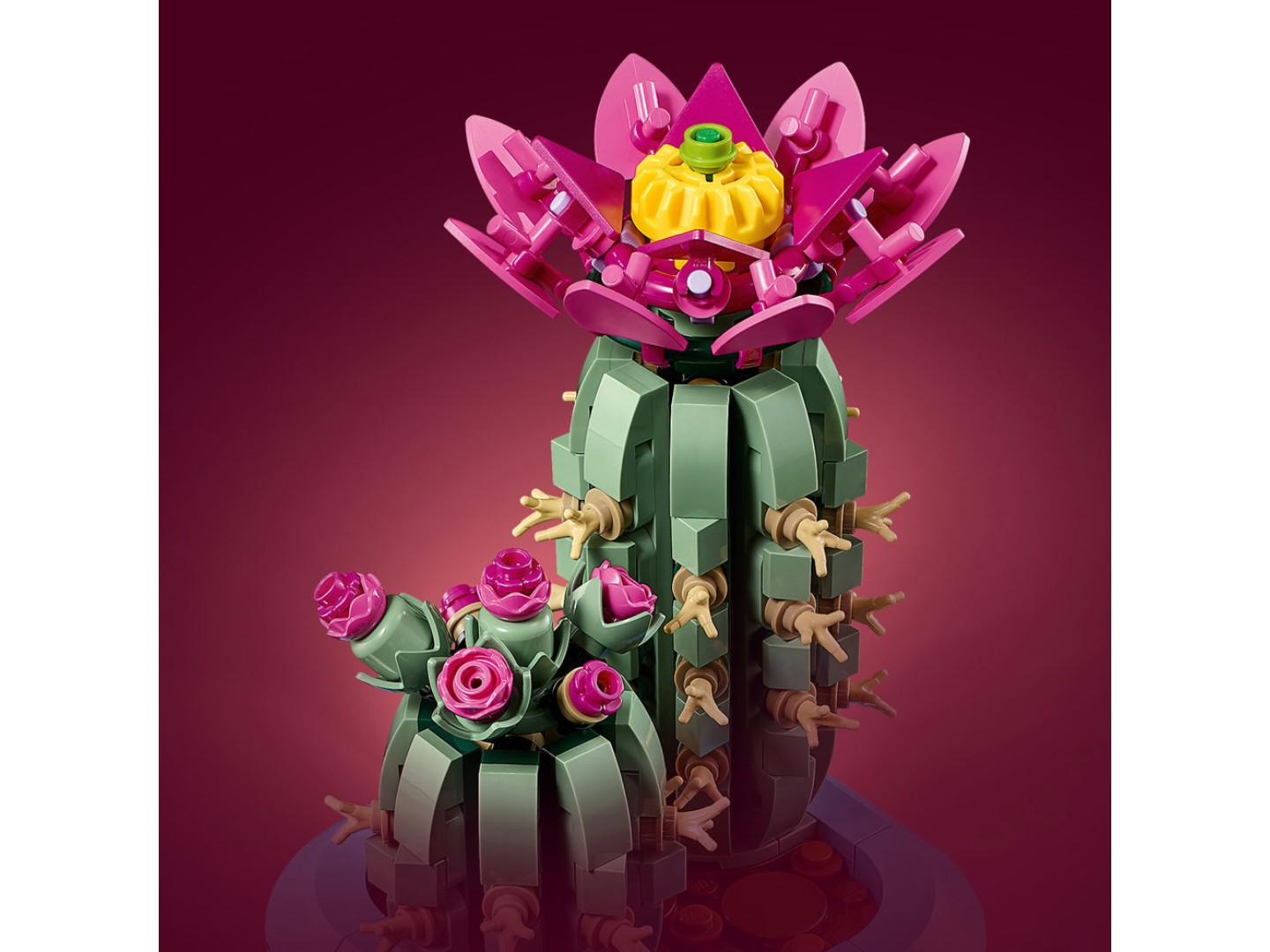 LEGO Botanicals Цвітіння кактуса (11509) — фото 4