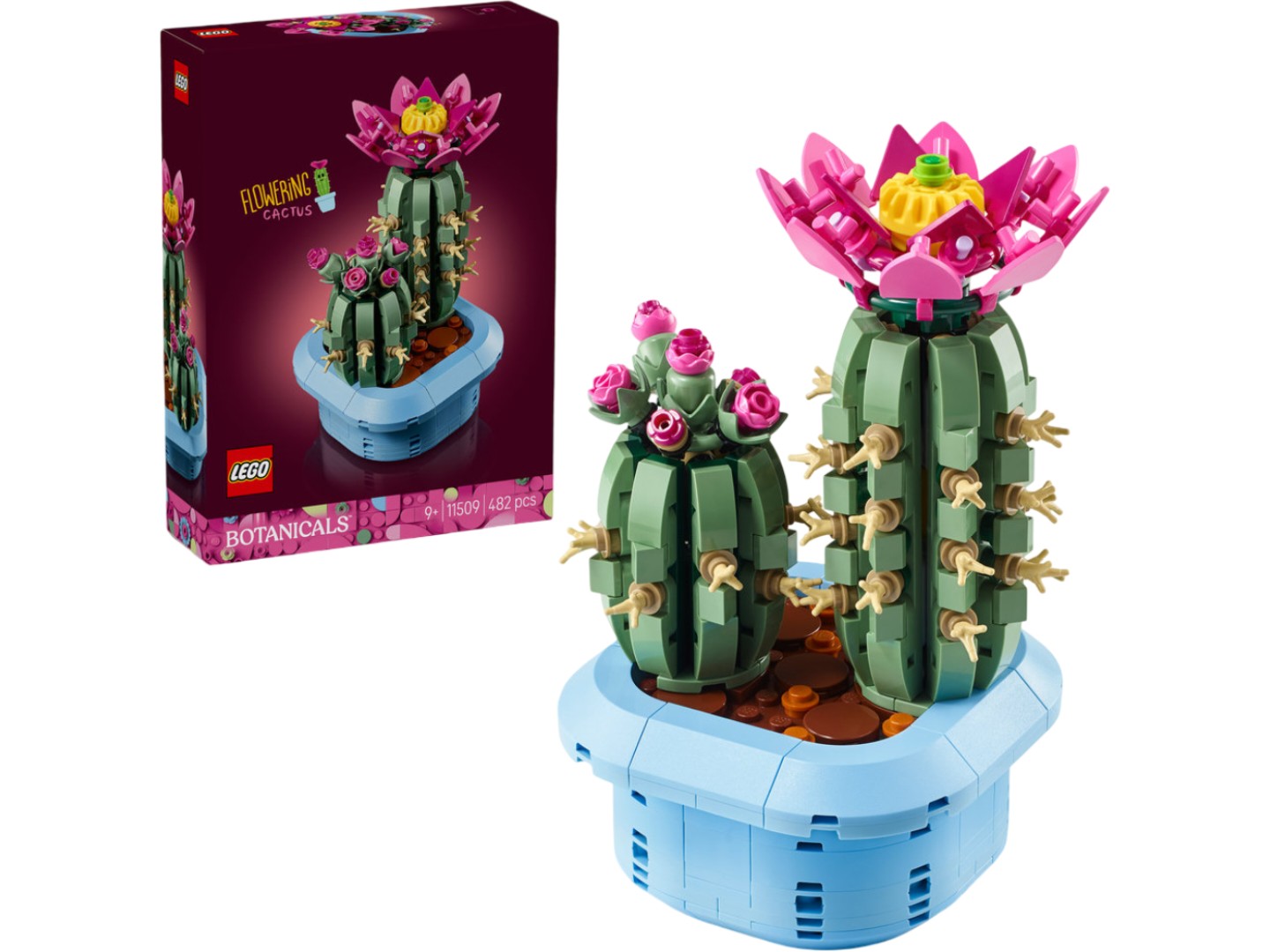 LEGO Botanicals Цвітіння кактуса (11509) — фото 1