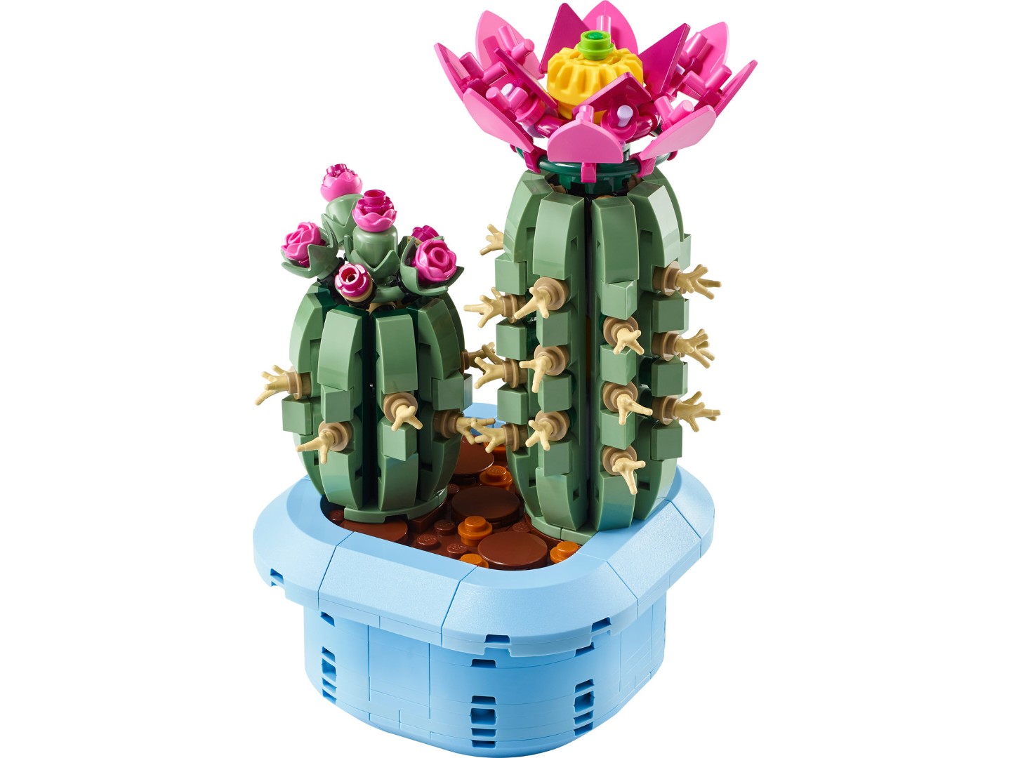 LEGO Botanicals Цвітіння кактуса (11509) — фото 3
