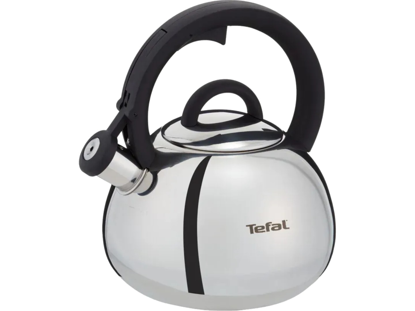 Чайник металевий Tefal N4180310 Duetto+ 2,5 л — фото 1