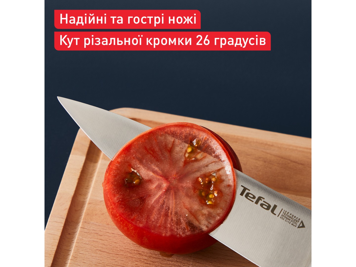 Точилка кухонних ножів Tefal K2650534 Ice Force — фото 5