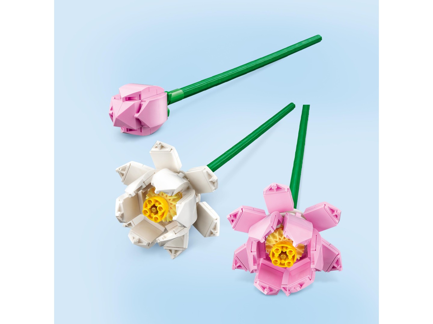 LEGO Botanicals Квіти лотоса (40647) — фото 4