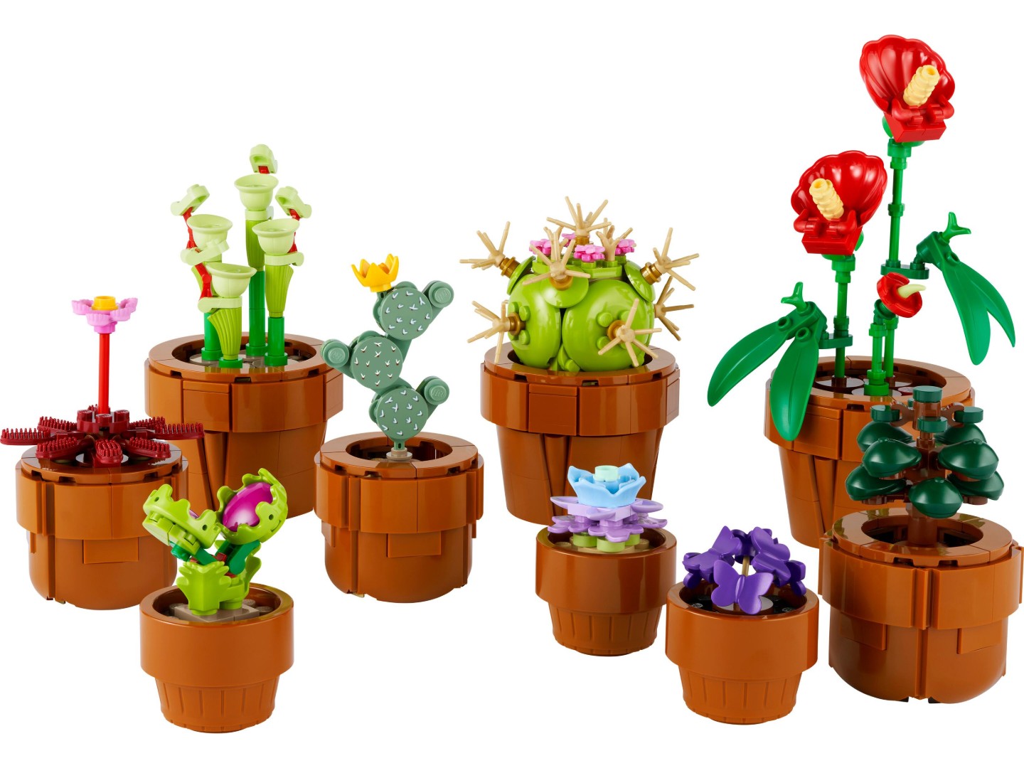 LEGO Botanicals Мініатюрні рослини (10329) — фото 11