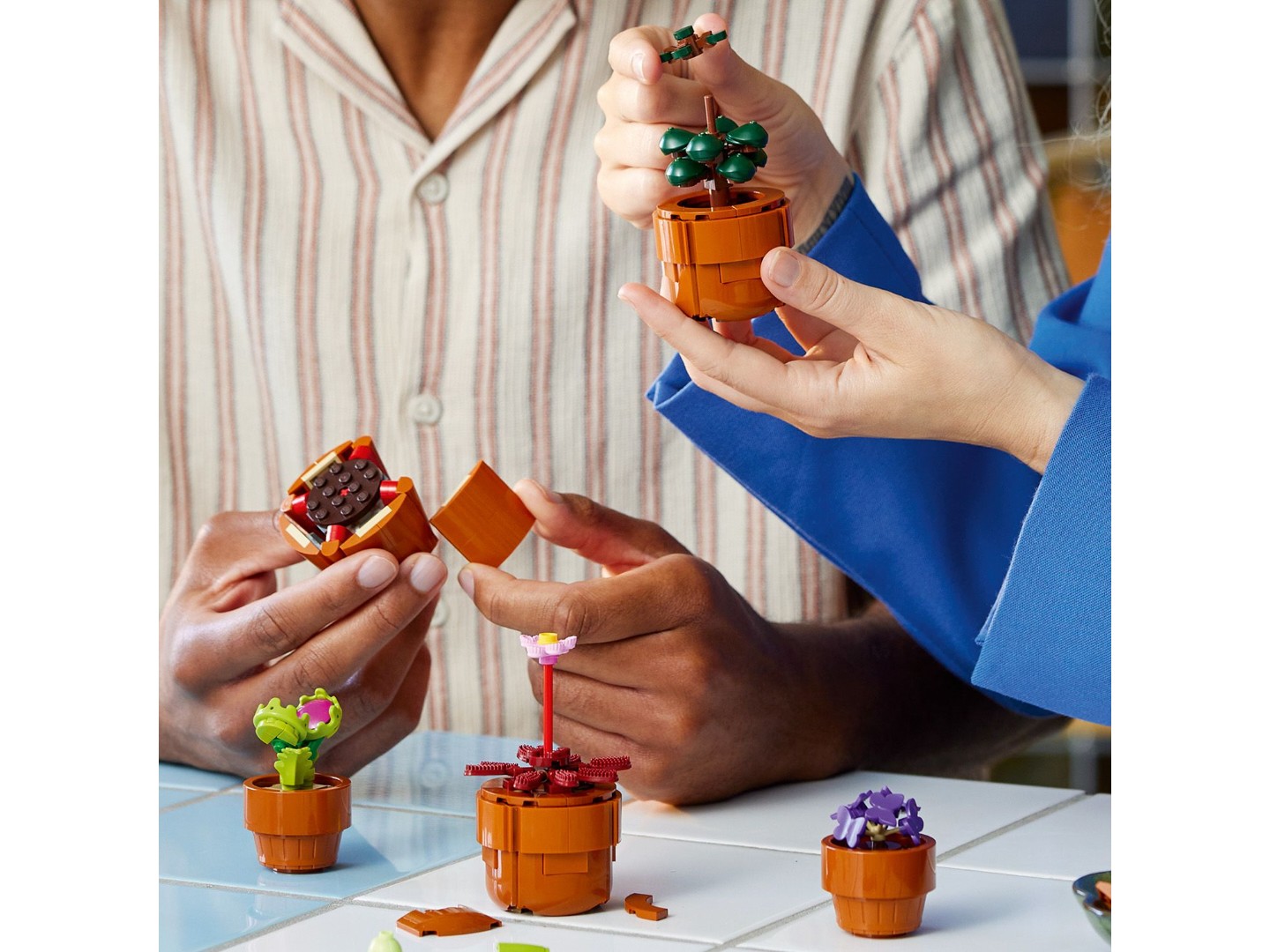 LEGO Botanicals Мініатюрні рослини (10329) — фото 3