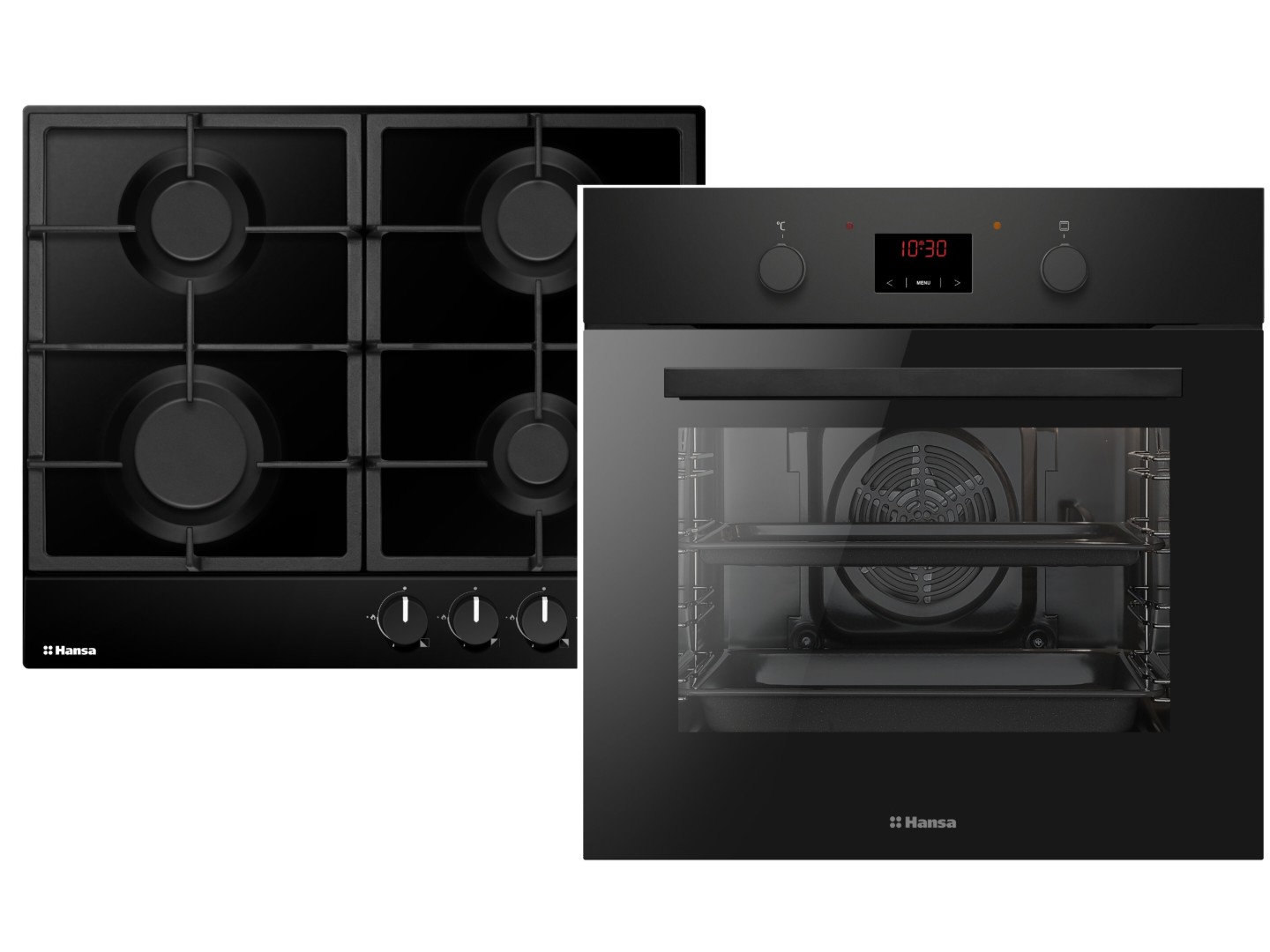 Духова шафа + варильна поверхня газова Hansa FCGS68326