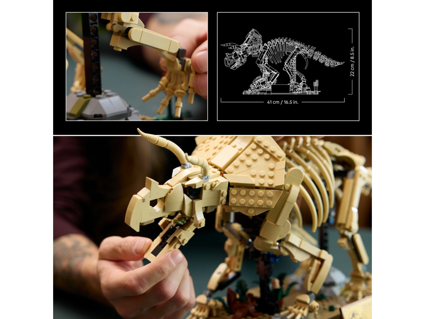 Конструктор LEGO Jurassic World Скамʼянілості динозаврів: трицератопс (77985) — фото 5