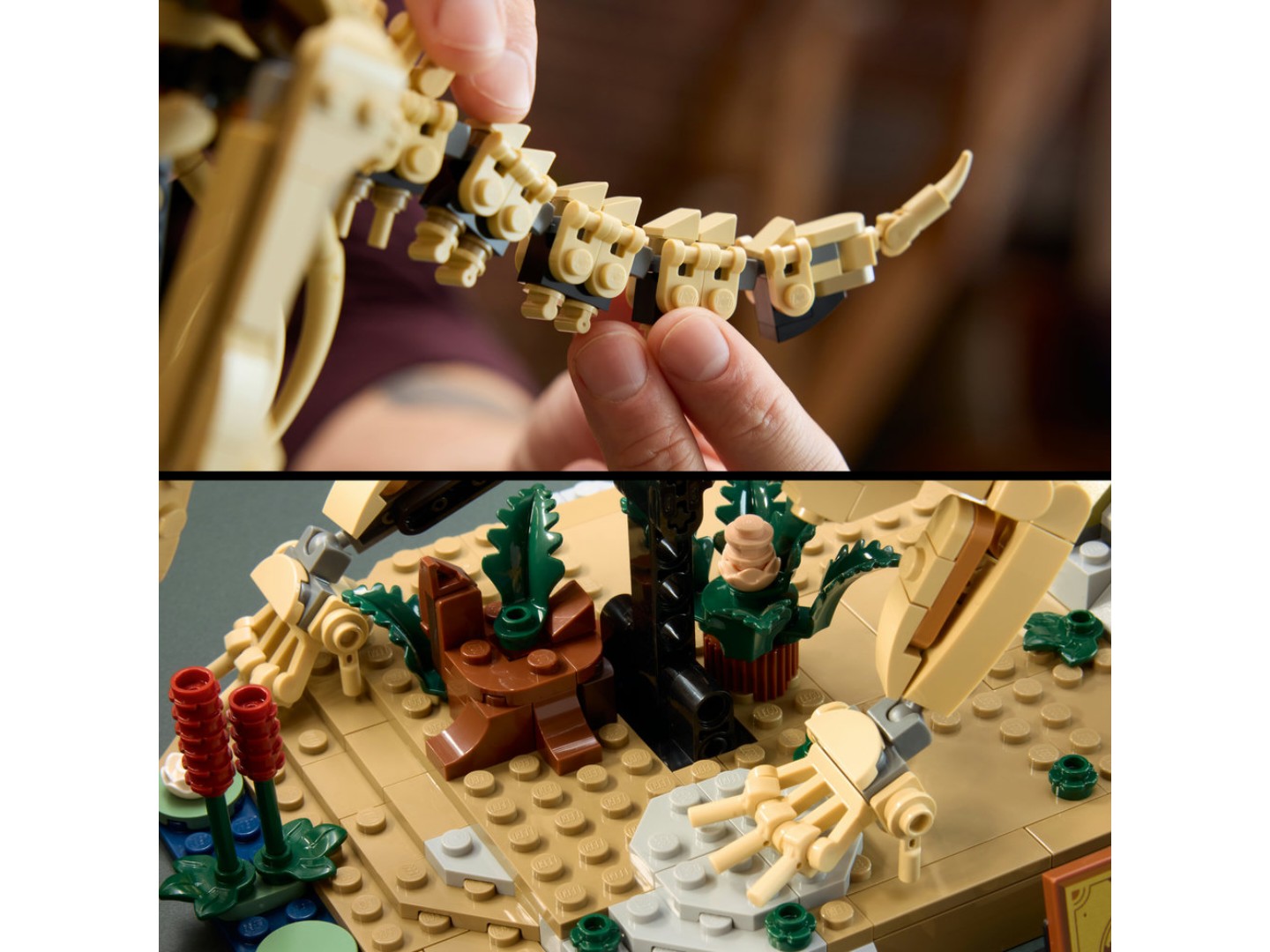 Конструктор LEGO Jurassic World Скамʼянілості динозаврів: трицератопс (77985) — фото 7