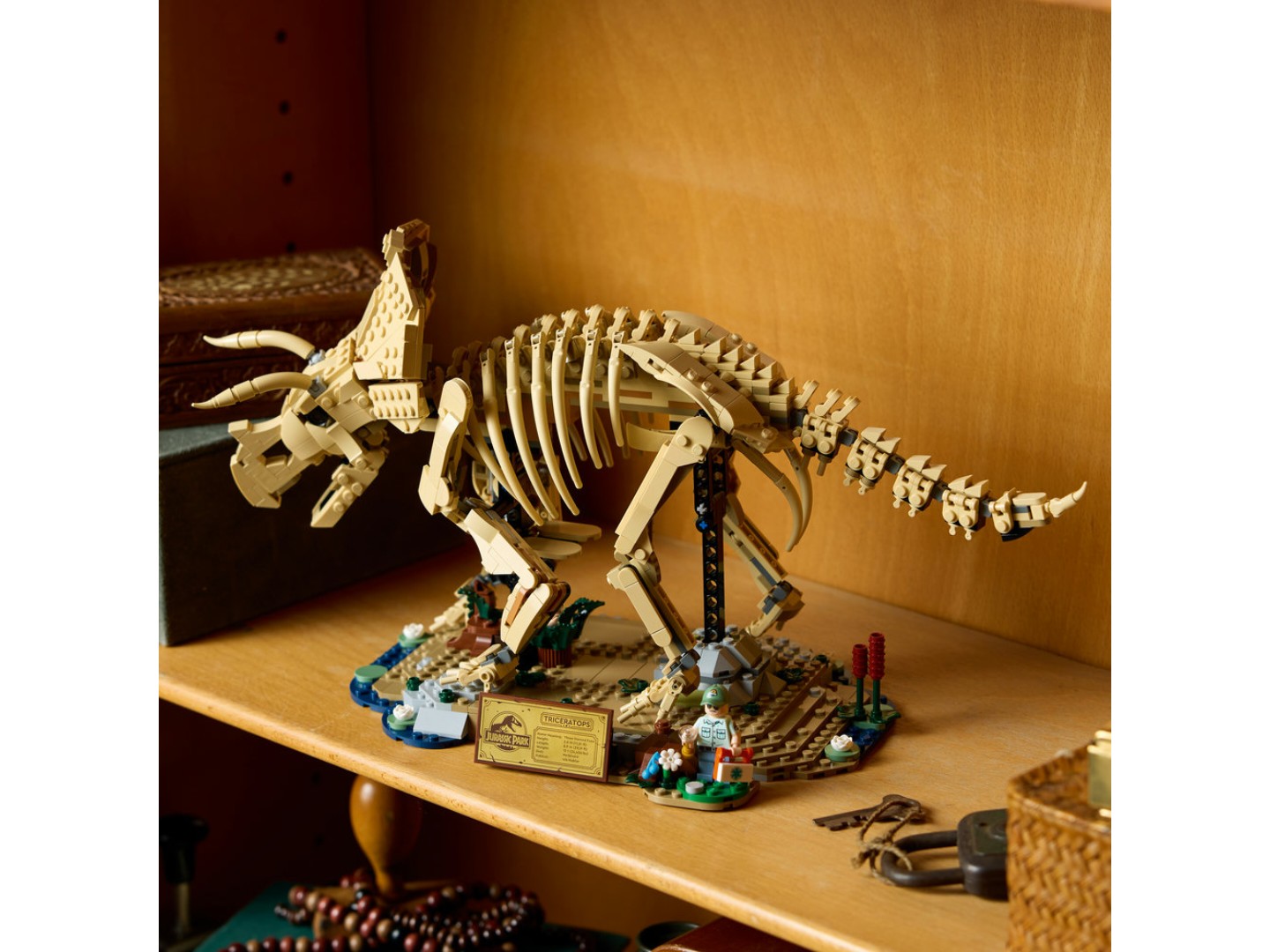 Конструктор LEGO Jurassic World Скамʼянілості динозаврів: трицератопс (77985) — фото 9