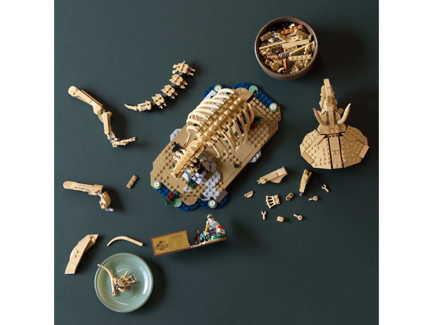 Конструктор LEGO Jurassic World Скамʼянілості динозаврів: трицератопс (77985) — фото 10
