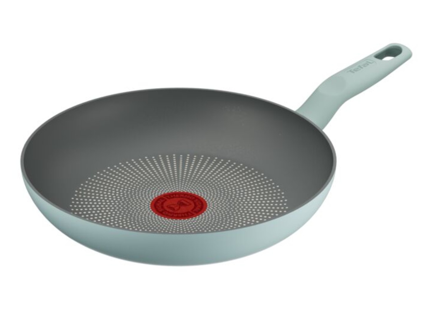 Сковорода універсальна Tefal G0160402 Halo Eucalyptus 24 см