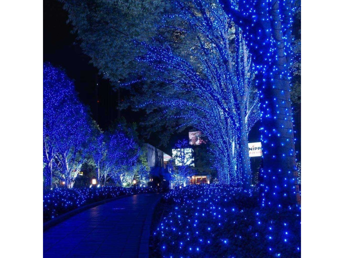 Гірлянда лінійна Colorway 10 m 100Led IP65 (CW-GO-100L10BL) — фото 15