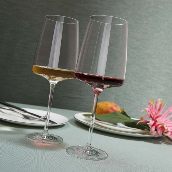 Фото - Набор бокалов Schott Zwiesel 2 шт. Flavoursome & Spice 0,660 л 122429