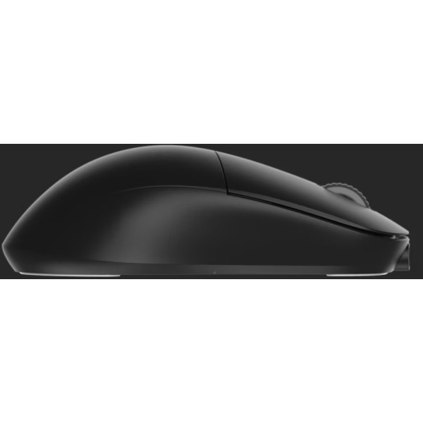 Фото - Мышь беспроводная игровая Endgame Gear XM2we Black (PGW-EG-MOU-020)