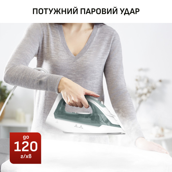 Фото - Утюг Tefal FV2C42E0