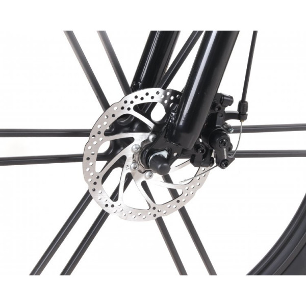 Фото - Электровелосипед Maxxter Ranger Gray