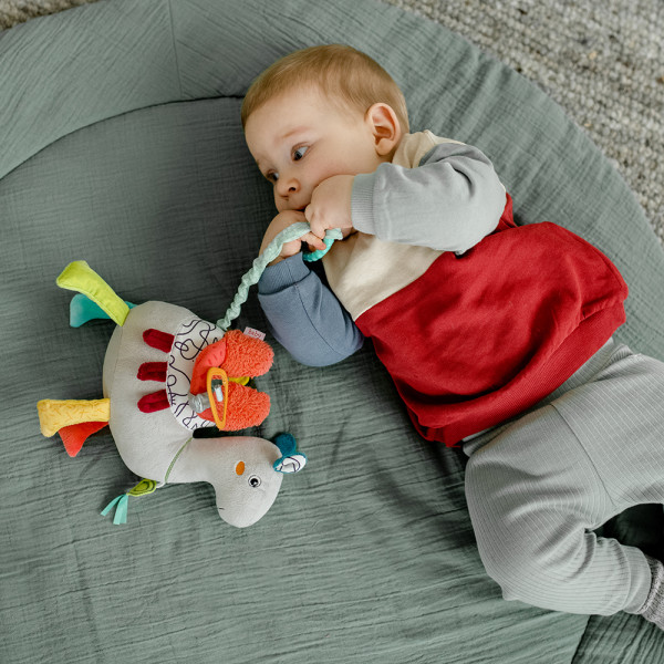 Фото - Інтерактивна тварина Fehn Активний музичний верблюд (508)