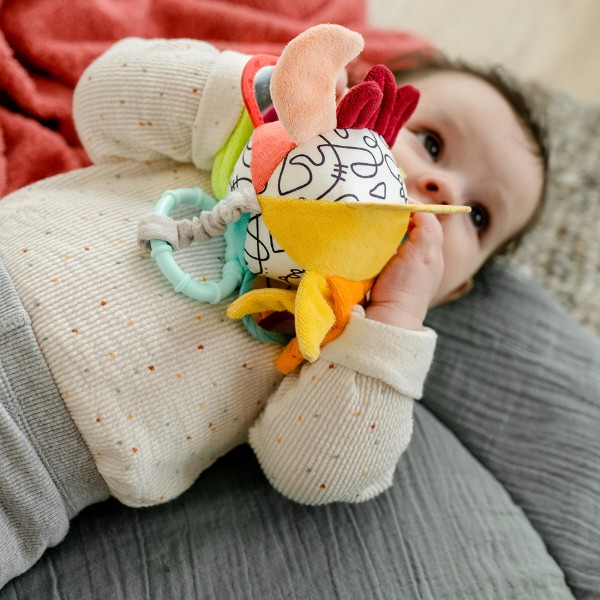Фото - Підвіска Fehn М'яч DoBabyDoo (530)
