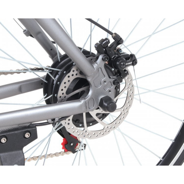 Фото - Електровелосипед Maxxter Master Gray