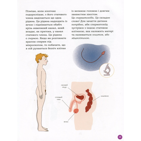Фото - Книга про розвиток і здоров'я 4mamas Для дбайливих батьків. Енциклопедія статевого життя. 7-9 років. ДТБ055 (351 347)