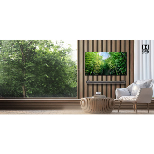 Фото - Телевизор LG OLED65W8PLA