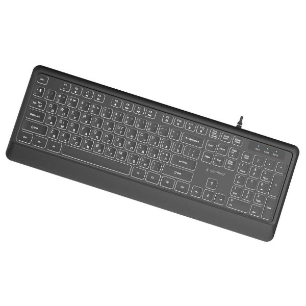 Фото - Клавіатура дротова Gembird Black (KB-UML-04-CYRL)