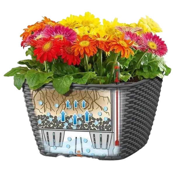 Фото - Вазон Lechuza 30 Cottage Bacino Графітовий чорний 15468