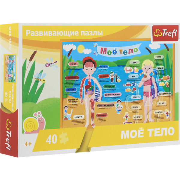 Фото - Пазли (5-7 років) Trefl повчальні "Моє тіло", 40 ел (15528)