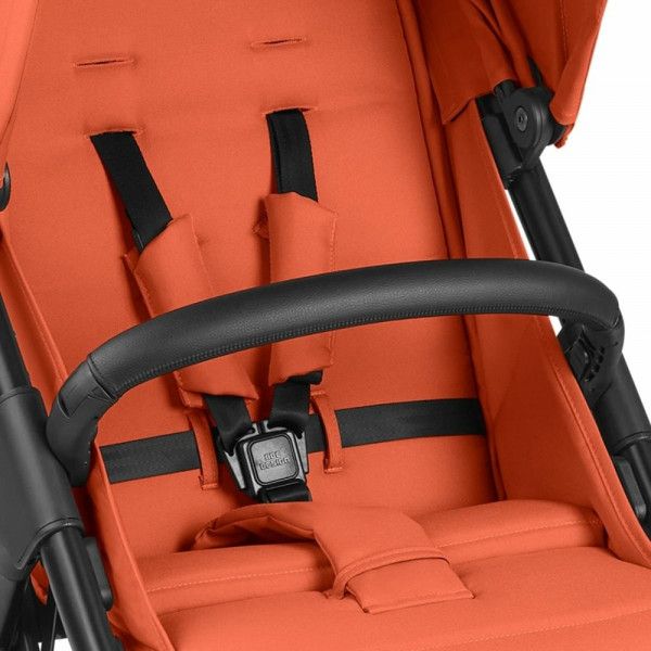 Фото - Коляска прогулянкова ABC Design Avus Carrot