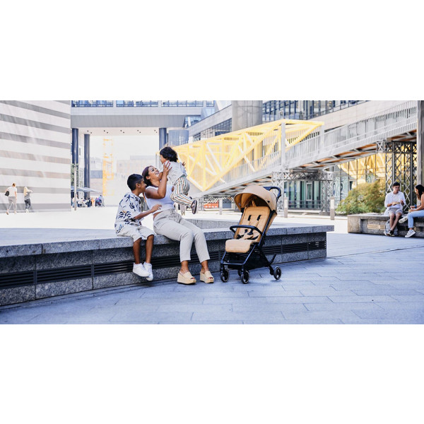 Фото - Коляска прогулочная ABC Design Ping 2 Pine