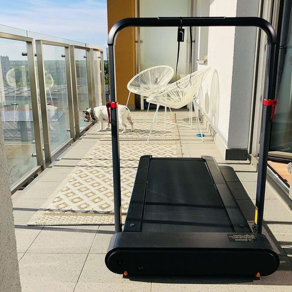 Фото - Бігова доріжка Kingsmith WalkingPad R1 Pro (TRR1F PRO)