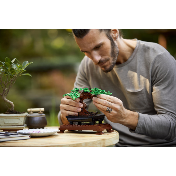 Фото - Конструктор LEGO Botanicals Дерево бонсай (10281)