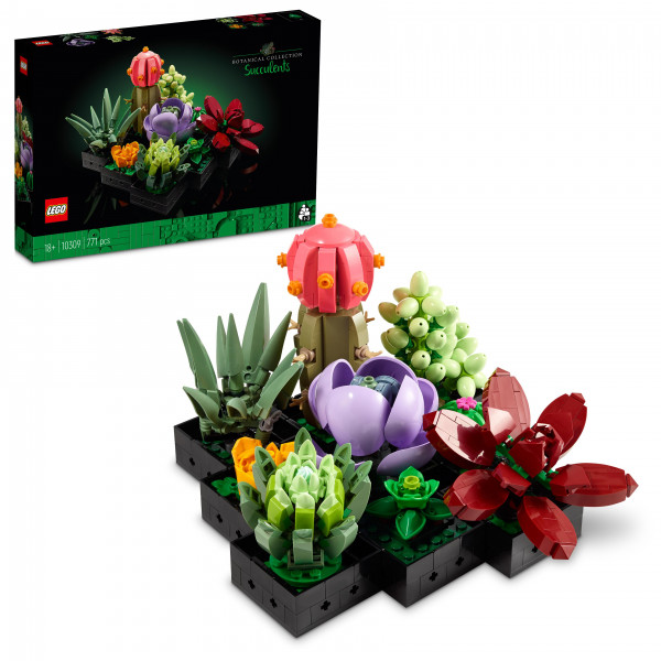 Фото - Конструктор LEGO Botanicals Суккуленты (10309)